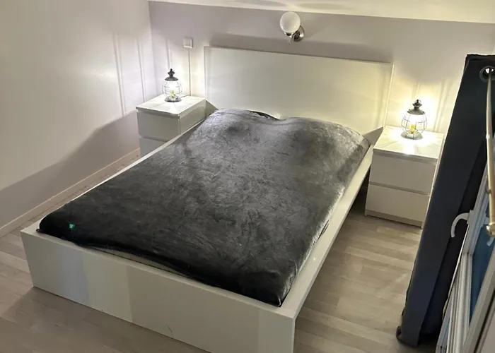 Relais Venise Verte * Coulon